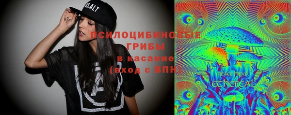 прущая мука Богородск