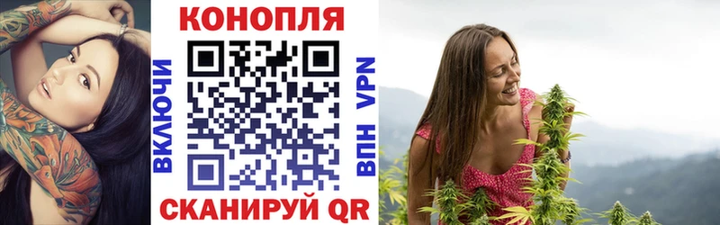 купить закладку  Кизилюрт  нарко площадка формула  Бошки Шишки Ganja 